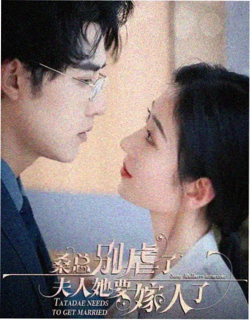 海贼王在线动漫免费观看全集 强者天下